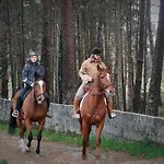 Alloggio per agriturismo Quintinha D'arga Caminha