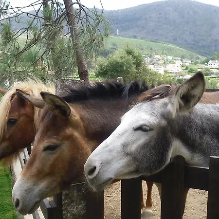 Alojamento de Turismo Rural Quintinha D'arga