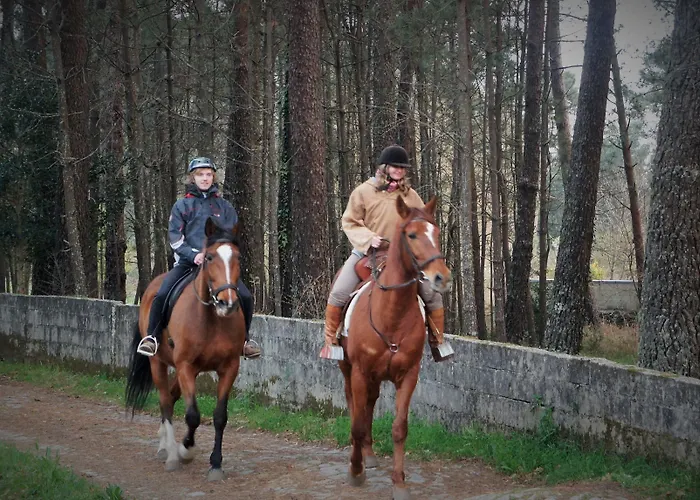 Alloggio per agriturismo Quintinha D'arga Caminha