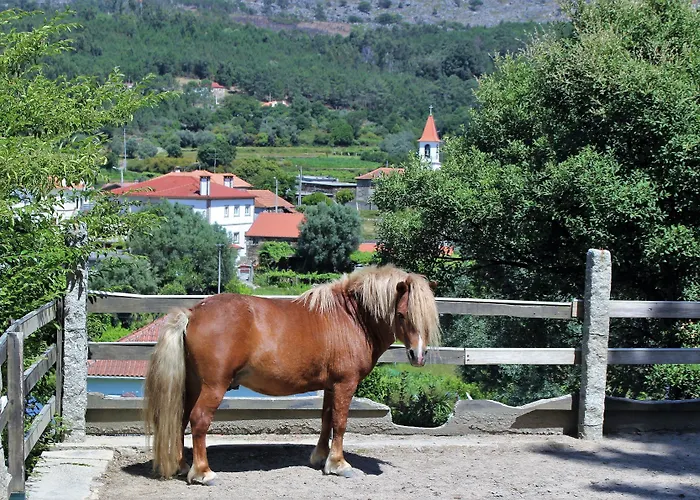 Alloggio per agriturismo Quintinha D'arga Caminha